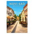 Poster-Novi-Sad-Zmaj-Jovina-ulica_-ilustracija-srbija-grad_14_15
